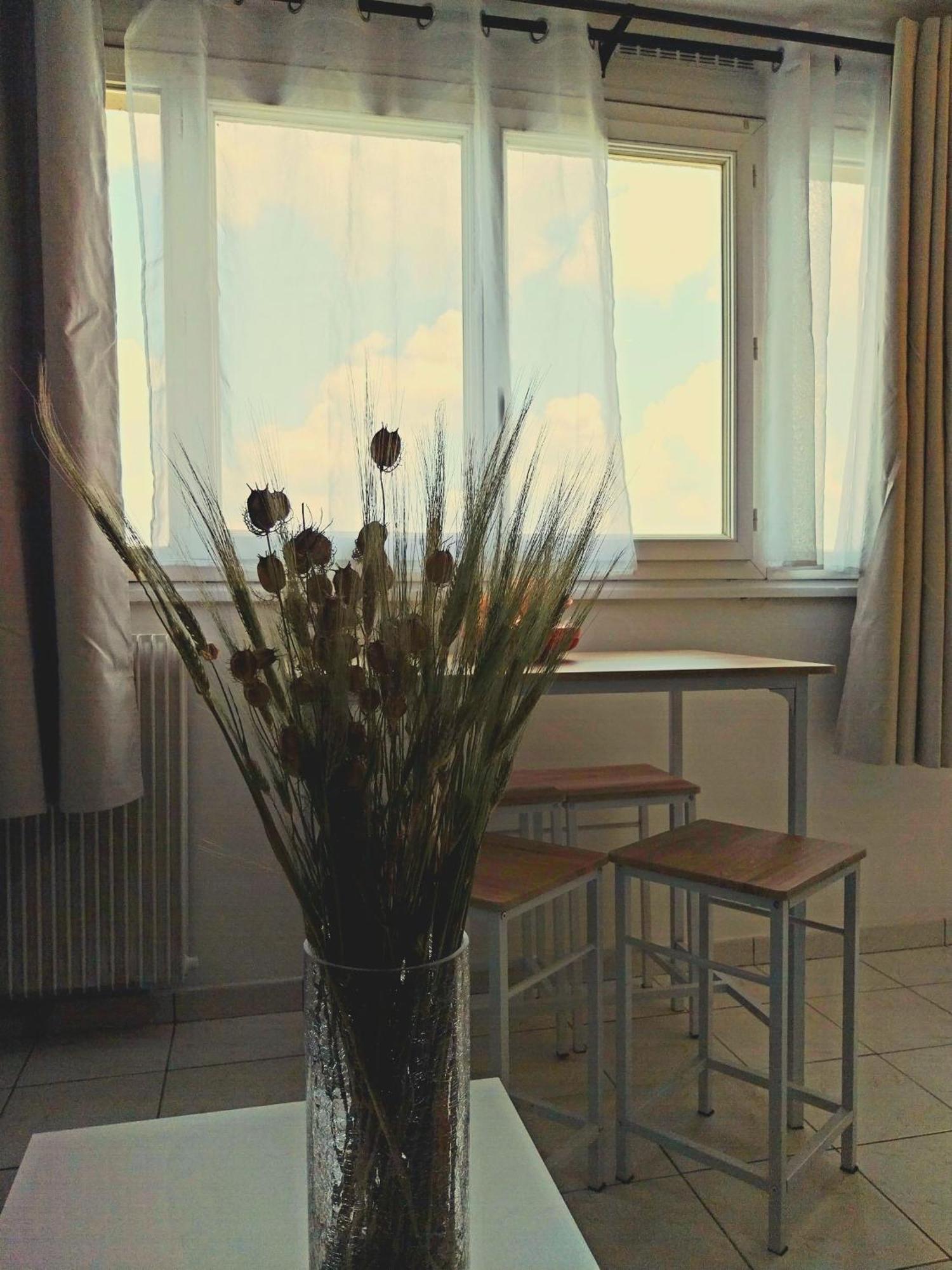 Apartment Lumineux 3 Min Gare - Rer A, Ligne L Et J *